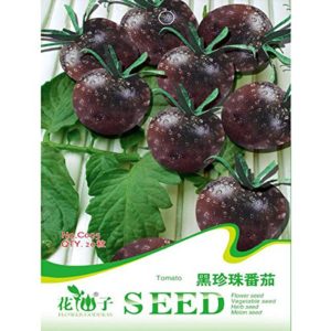 20 PCS Black Pearl Tomato Seeds High Vitamin Plant Seeds
