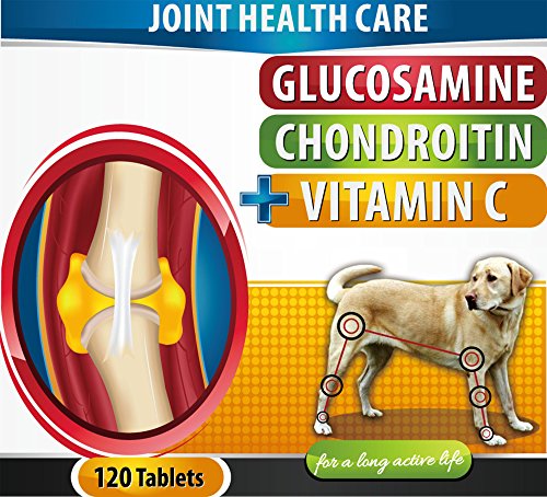 Best Chewable Joint Supplement For Dogs With 120 Extra Strength Bacon Flavored Tablets - 500mg Glucosamine 400mg Chondroitin 166mg Vitamin C - Specially Formulated For Dogs - Made In USA