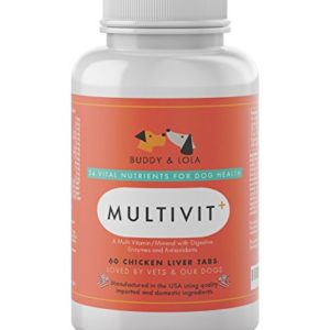 Buddy   Lola Dog Vitamins –  1 Multivitamin For Senior Dogs - Nutrients  Calcium  Digestive Enzymes   Antioxidants – Chicken Liver Chewable Supplements – 60 Count