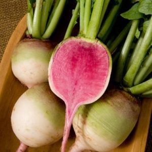 David's Garden Seeds Radish Red Meat (Watermelon) SL624A (Red) 200 Open Pollinated Seeds