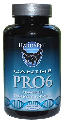 HardyPet Canine PRO6 Probiotic Made Just for Dogs 1 HardyPet Canine PRO6 Probiotic Made Just for Dogs