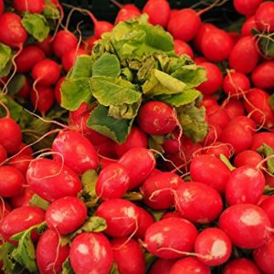 Home Comforts LAMINATED POSTER Healthy Food Red Vegetables Radishes Vitamins Eat Poster 24x16 Adhesive Decal