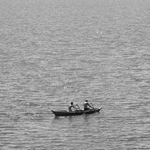 Home Comforts LAMINATED POSTER Juice Carrot Juice Vegetable Juice Carrots Vitamins Poster 24x16 Adhesive Decal