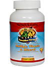 Nature s sunshine Sunshine Heroes Multiple Vitamin   Mineral Children's Supplement 90 Soft chews Each (Pack of 4)