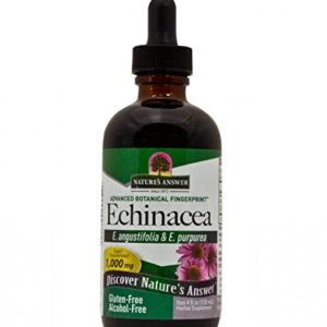 Nature's Answer Alcohol-Free Echinacea  4-Fluid Ounces