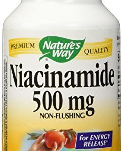Nature's Way Niacinamide 500mg Non-flushing for Energy Release  100 Capsules  100 Count