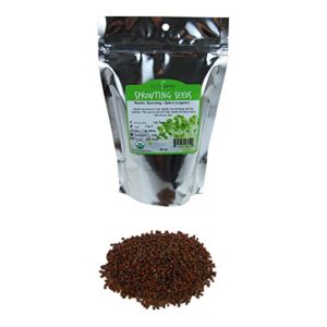 Organic Radish Sprouting Seeds  1 Lb - Non-GMO Radish Seed for Sprouting Sprouts  Micro Greens  Emergency Food Storage  Hydroponics  Vegetable Garden  More