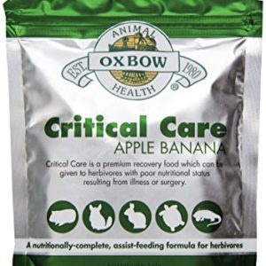 Oxbow Critical Care Apple Banana Pet Supplement  141gm