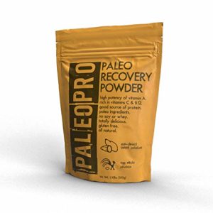 PaleoPro - Paleo Recovery Powder   All Natural   No Soy   No Whey   Gluten Free   Paleo Diet   1 1lb 509g - Sweet Potato
