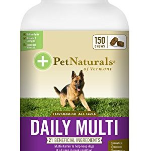 Pet Naturals of Vermont - Daily Multi for Dogs  Daily Multivitamin Formula  150 Bite Sized Chews