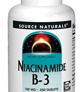 Source Naturals Niacinamide 100mg Vitamin B3 Supplement - Flush Free - 250 Tablets