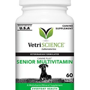 VetriScience Laboratories Canine Plus Senior Multi Vitamin for Dogs  60 Chewable Tablets