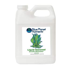 Blue Planet Nutrients Liquid Seaweed Quart (32 oz)   Liquid Kelp Supplement   Hydroponic Aeroponic Soil Coco Coir   For All Plants   Gardens